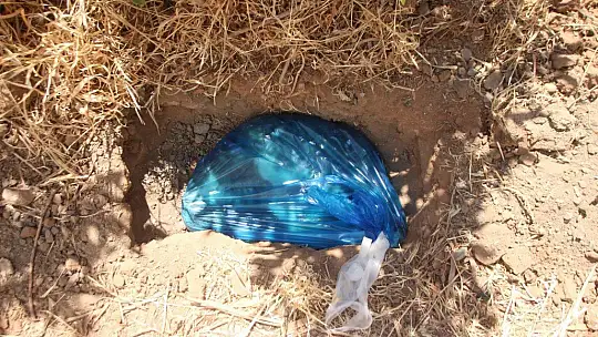 Çöp konteynerini devirip içinde ilaç kutusu aradılar