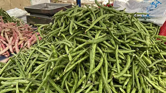 Türkiye'nin Börülce merkezi Muğla