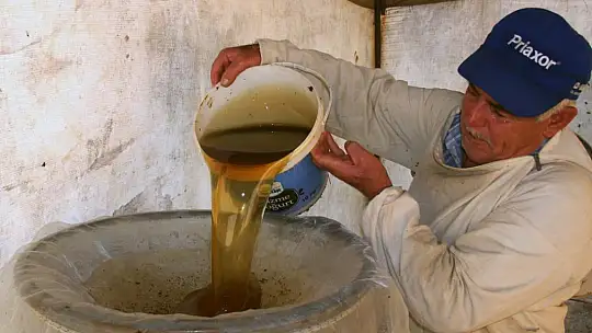 Türkiye'nin Börülce merkezi Muğla