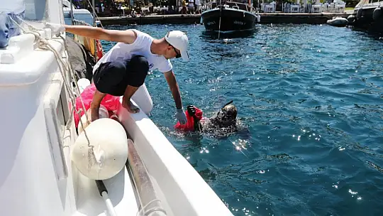 Denizden 1 saatte yarım ton çöp çıktı