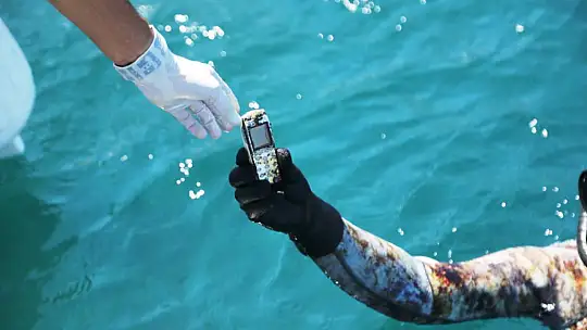 Denizden 1 saatte yarım ton çöp çıktı