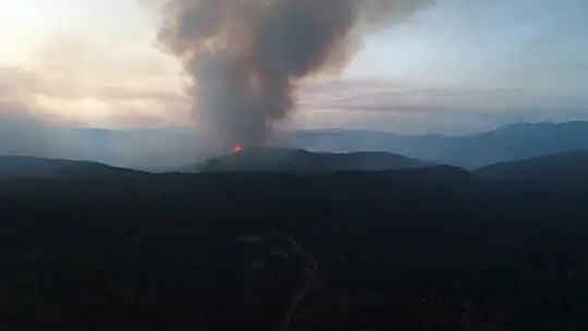 Aydın-Muğla sınırında başlayan orman yangına müdahale sürüyor