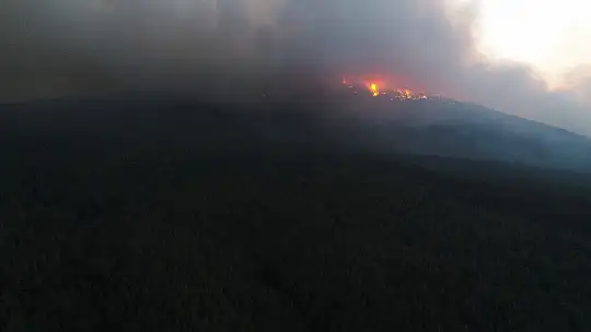 Aydın-Muğla sınırında başlayan orman yangına müdahale sürüyor