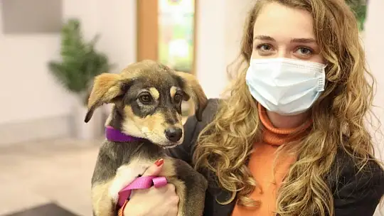 Badem için seferber oldular