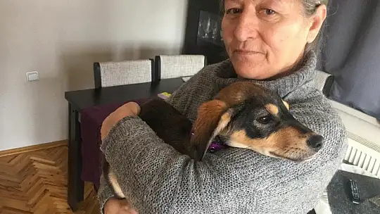 Badem için seferber oldular