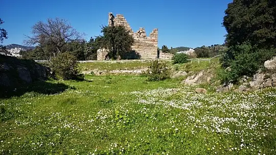 Baharın müjdecisi ilk cemre havaya düştü
