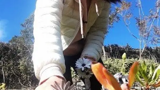 Baharın müjdecisi ilk cemre havaya düştü