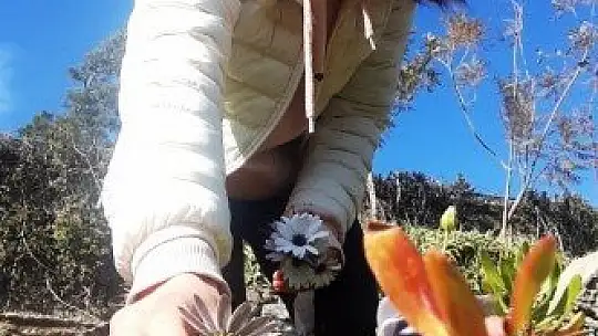 Baharın müjdecisi ilk cemre havaya düştü