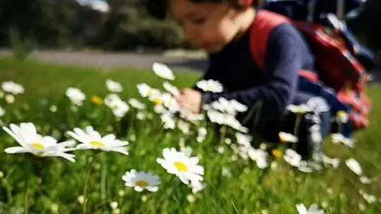 Baharın müjdecisi ilk cemre havaya düştü