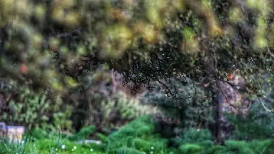 Baharın müjdecisi ilk cemre havaya düştü