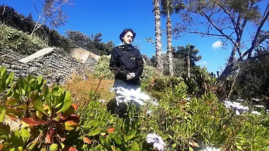 Baharın müjdecisi ilk cemre havaya düştü