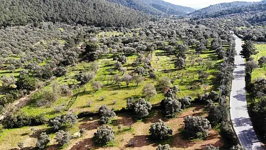 Baharın müjdecisi ilk cemre havaya düştü