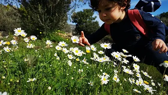 Baharın müjdecisi ilk cemre havaya düştü