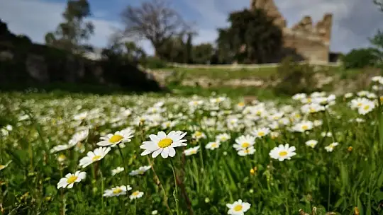 Baharın müjdecisi ilk cemre havaya düştü