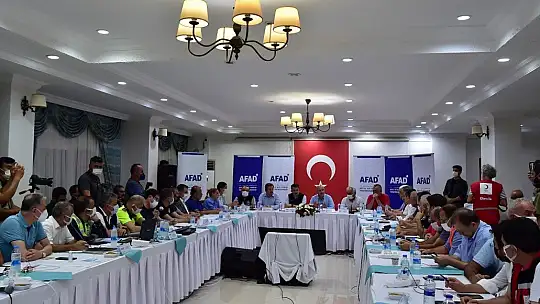 Bakan Soylu ve Pakdemirli orman yangınlarındaki son durumu açıkladı