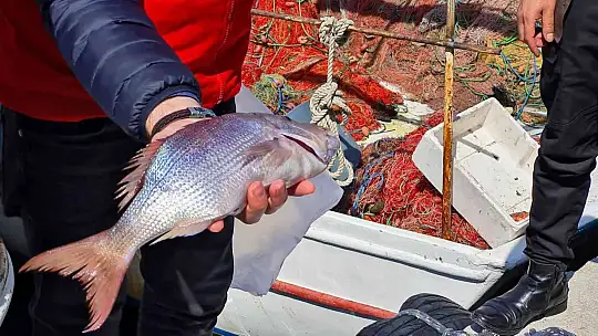 Balık ihracatında hedef 2 milyar dolar