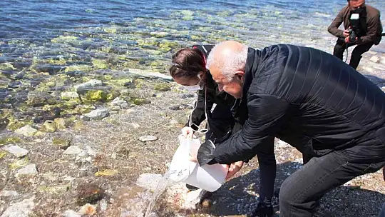 Balık ihracatında hedef 2 milyar dolar