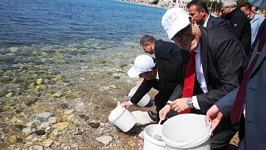 Balık ihracatında hedef 2 milyar dolar