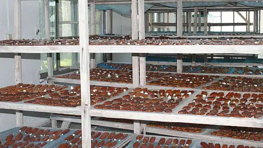 Balık yumurtası ve bottargada hedef 1 milyon kiloyu aşmak