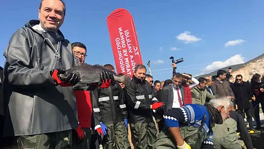 Balıkçılar ağı tarladan çekti