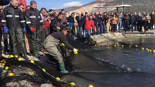 Balıkçılar ağı tarladan çekti