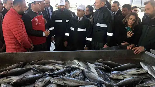 Balıkçılar ağı tarladan çekti