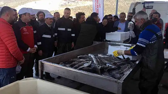 Balıkçılar ağı tarladan çekti