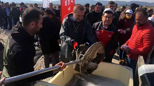 Balıkçılar ağı tarladan çekti