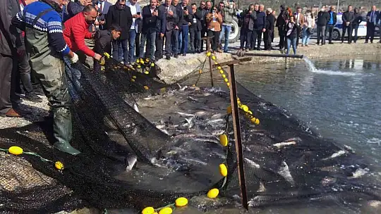 Balıkçılar ağı tarladan çekti