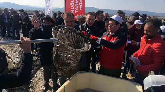 Balıkçılar ağı tarladan çekti