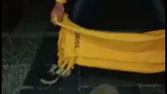 Bara giren kirpiyi polisler teslim aldı