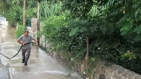 Başkan Aras'tan çağrı 'Temiz bir Bodrum için duyarlılık gösterelim'