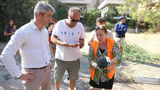 Başkan Oktay ve ekibi yangın bölgesinde yer aldı