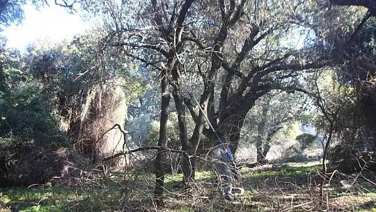 Belediye ekipleri, tarihi mezarlığın çehresini değiştirdi