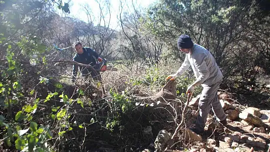 Belediye ekipleri, tarihi mezarlığın çehresini değiştirdi