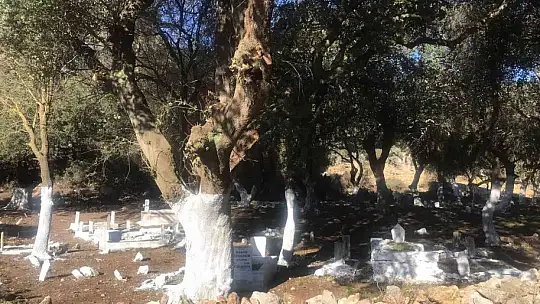 Belediye ekipleri, tarihi mezarlığın çehresini değiştirdi