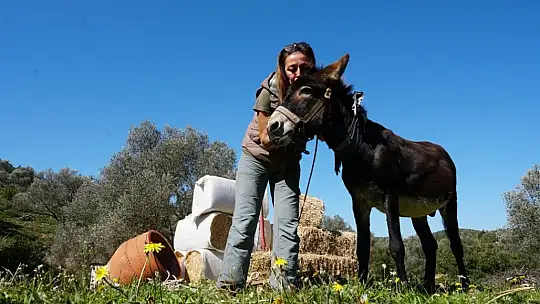 Belediye ekiplerince tedavisi tamamlanan eşek sahiplendirildi