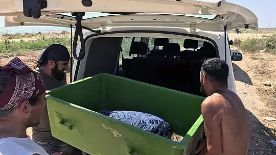 Belek'te kurtarılan Caretta'lar tedaviye alındı