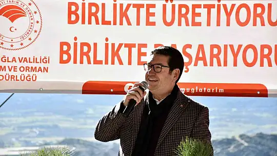 Bin adet çam fıstığı dağıtıldı