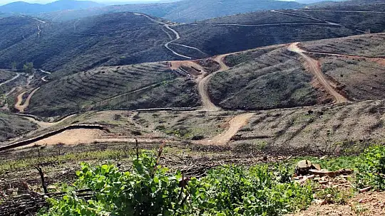 Bir yıl önce yanan saha havadan görüntülendi