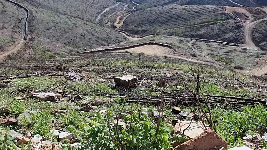 Bir yıl önce yanan saha havadan görüntülendi