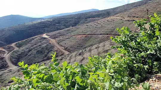 Bir yıl önce yanan saha havadan görüntülendi