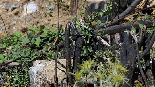 Bir yıl önce yanan saha havadan görüntülendi