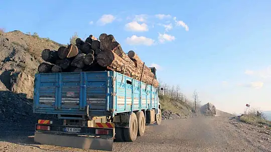Bir yıl önce yanan saha havadan görüntülendi