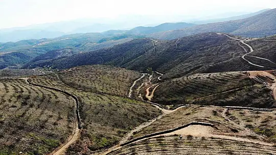 Bir yıl önce yanan saha havadan görüntülendi