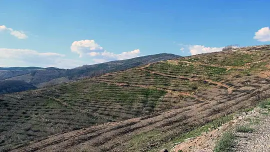 Bir yıl önce yanan saha havadan görüntülendi