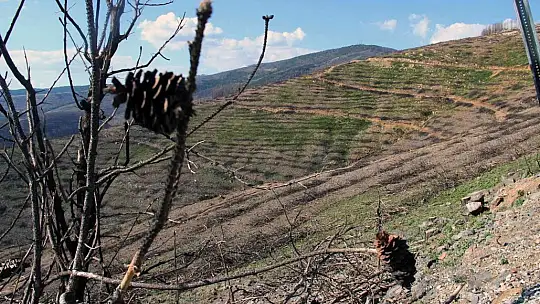 Bir yıl önce yanan saha havadan görüntülendi