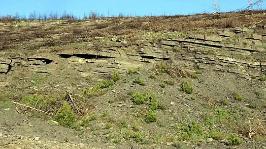 Bir yıl önce yanan saha havadan görüntülendi