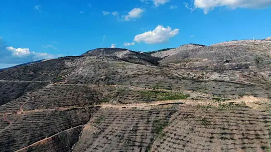 Bir yıl önce yanan saha havadan görüntülendi