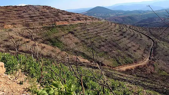 Bir yıl önce yanan saha havadan görüntülendi